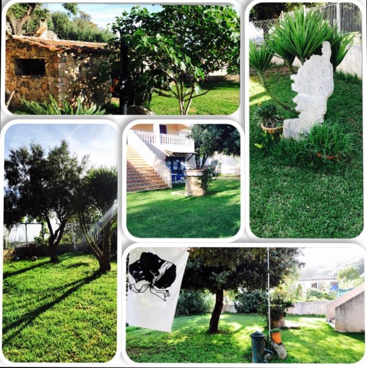 אולמטו Appartement Corse Olmeto מראה חיצוני תמונה